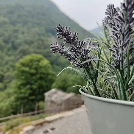 Ai Tetti Nuovi Lodge